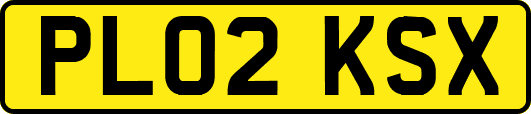 PL02KSX