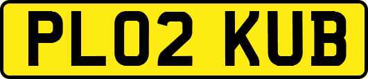 PL02KUB