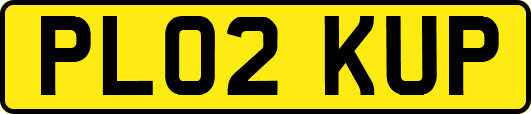 PL02KUP