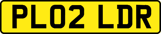 PL02LDR