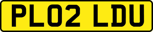 PL02LDU