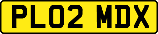 PL02MDX