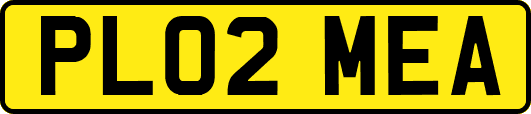 PL02MEA
