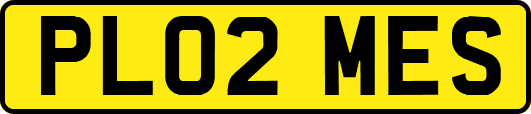 PL02MES