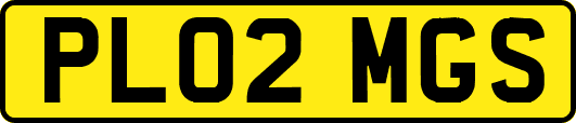PL02MGS