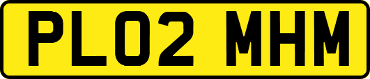 PL02MHM