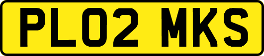 PL02MKS