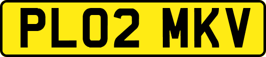 PL02MKV