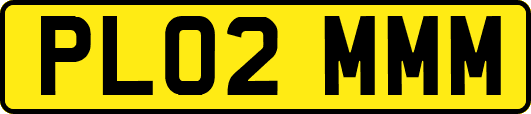 PL02MMM