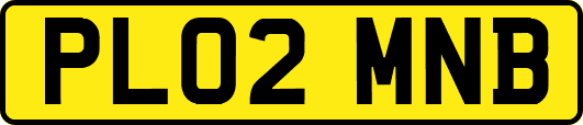 PL02MNB