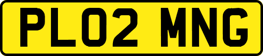 PL02MNG