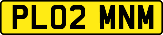 PL02MNM