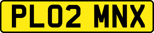 PL02MNX