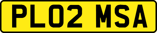 PL02MSA