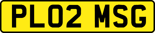 PL02MSG