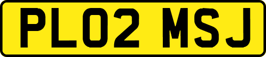 PL02MSJ