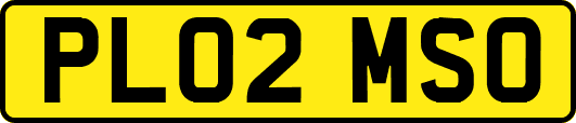 PL02MSO