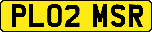 PL02MSR