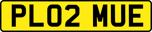 PL02MUE