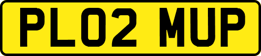 PL02MUP