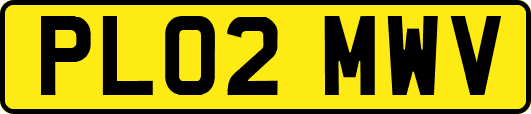 PL02MWV