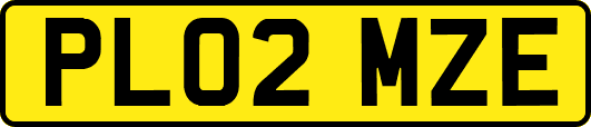 PL02MZE