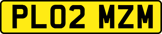 PL02MZM