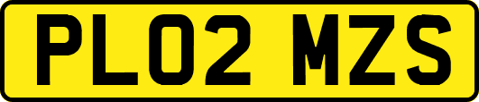 PL02MZS