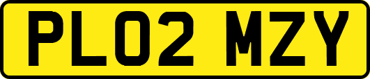 PL02MZY