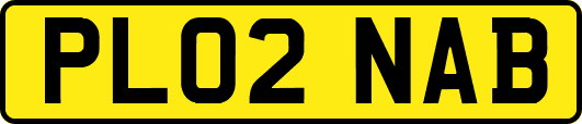 PL02NAB