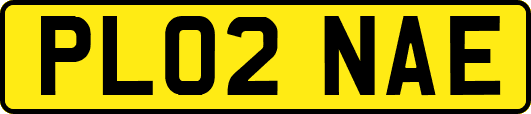 PL02NAE