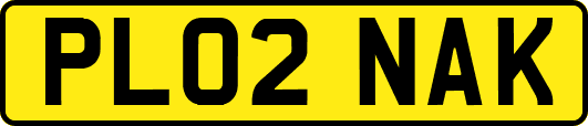 PL02NAK