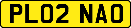 PL02NAO