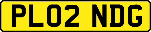 PL02NDG