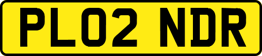 PL02NDR