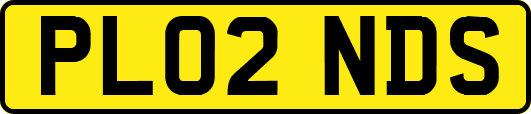 PL02NDS