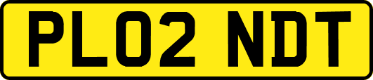 PL02NDT