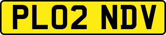 PL02NDV