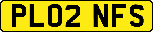 PL02NFS