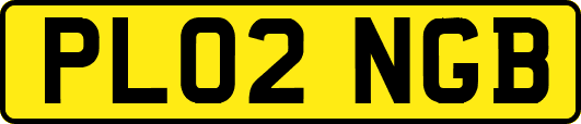 PL02NGB