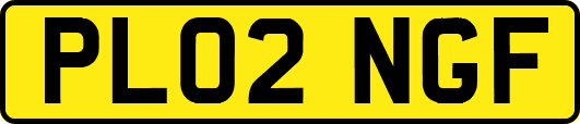 PL02NGF
