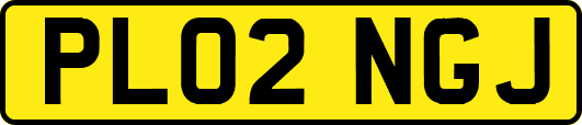 PL02NGJ