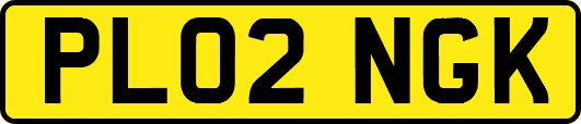 PL02NGK
