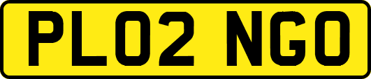 PL02NGO