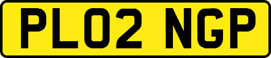 PL02NGP