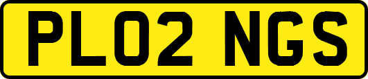 PL02NGS