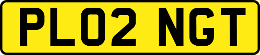 PL02NGT