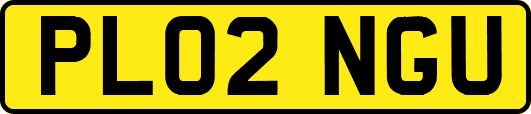 PL02NGU