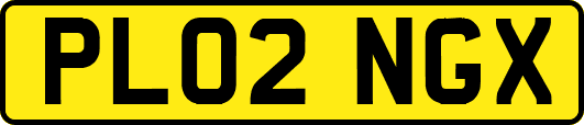 PL02NGX