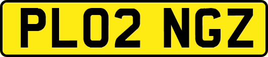 PL02NGZ